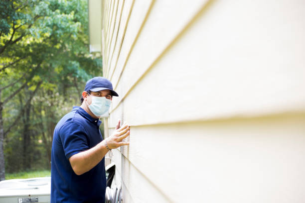 Best Insulated Siding Installation  in Virden, IL